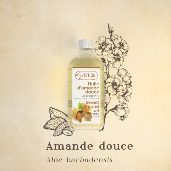HT 26 Paris - Huile Sweet Almond Oil Amandes Douce - Inhalt: 125ml
